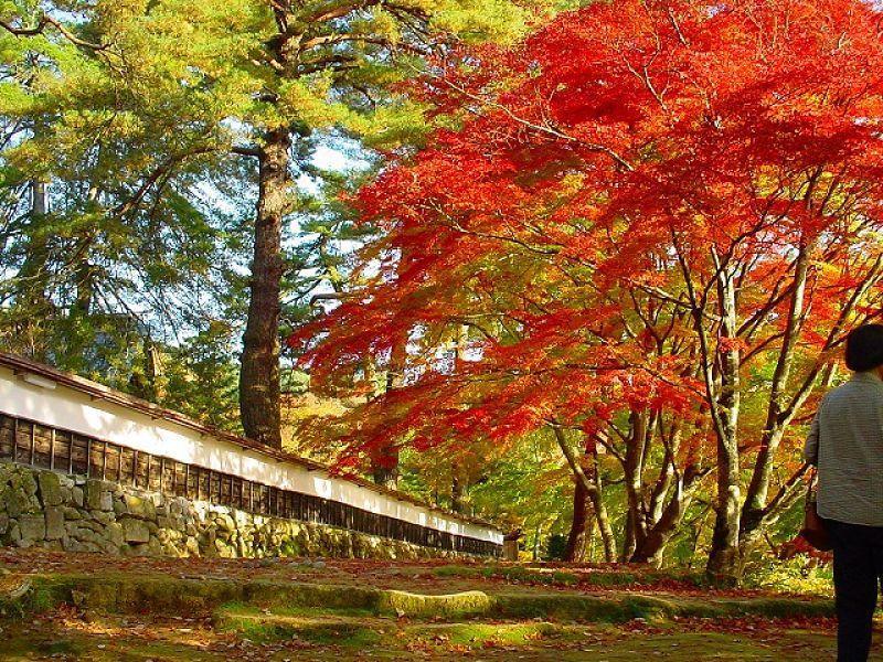 ทาบิสต์ ฮานะ โฮเทล ทากิโนยะ ไอซุ ยาไนซุ Hotel Yanaizu ภายนอก รูปภาพ